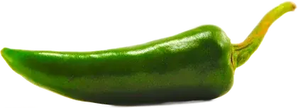 Zielona papryczka chili