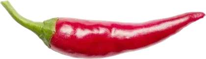 Czerwona papryczka chili